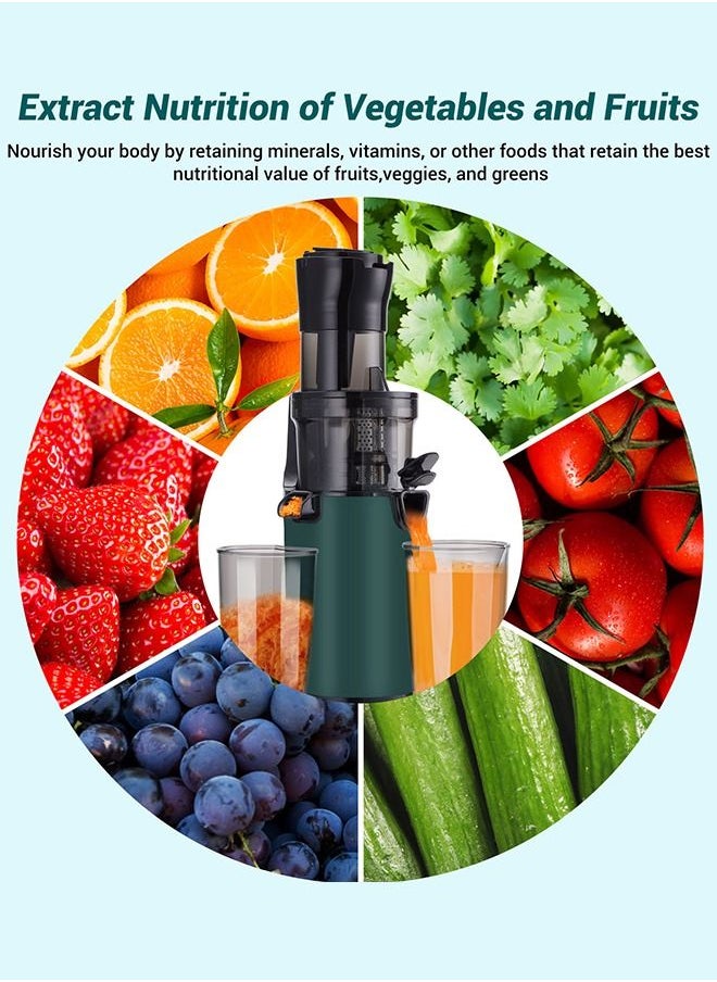 INKBIRD - INKBIRD Electric Juicer Fruits Cold Press Squeezer Vegetable Processor Slow Masticating Juicer Machine 200W for Celery Carrot Slow Juicer Machine with Chute and 800ml Juice Cup BPA-Free Easy to Clean - Image 1