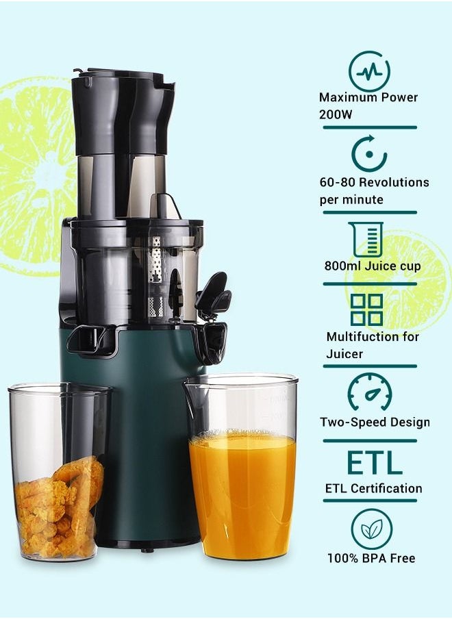 INKBIRD - INKBIRD Electric Juicer Fruits Cold Press Squeezer Vegetable Processor Slow Masticating Juicer Machine 200W for Celery Carrot Slow Juicer Machine with Chute and 800ml Juice Cup BPA-Free Easy to Clean - Image 1