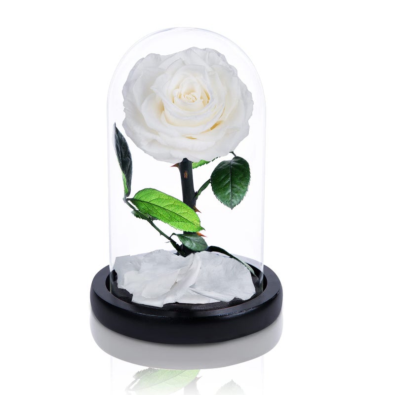 UFOREVER ROSES Handmade Preserved Flowers in Glass Dome White Roses 
