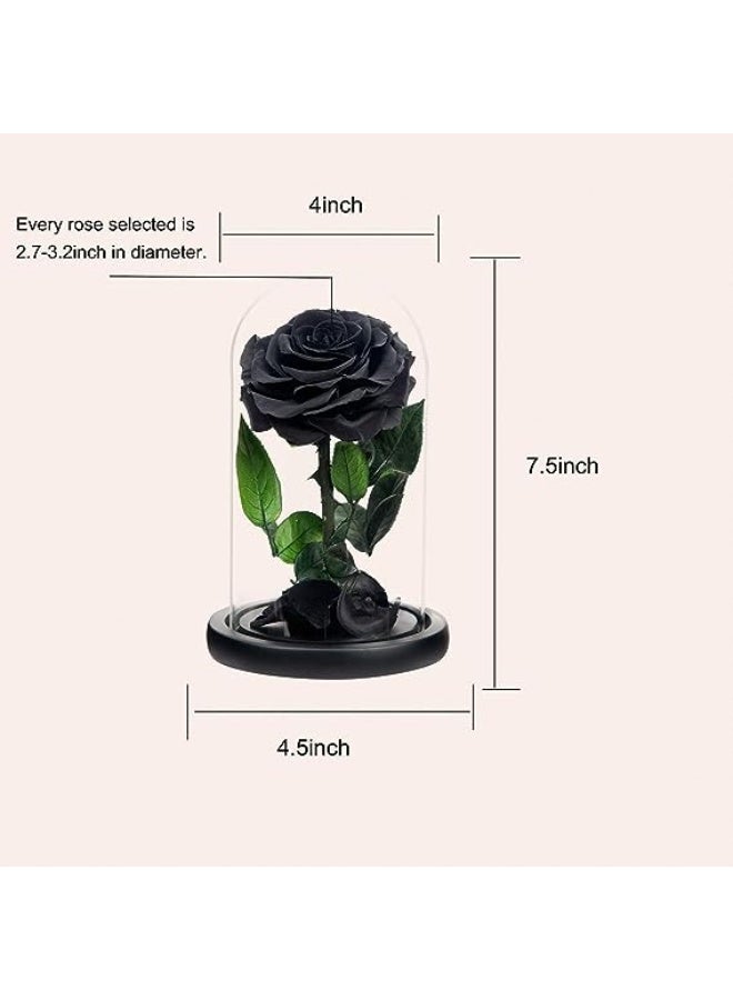 Carmel Flowers وردة سوداء أبدية - Image 1