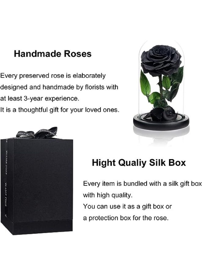 Carmel Flowers وردة سوداء أبدية - Image 4