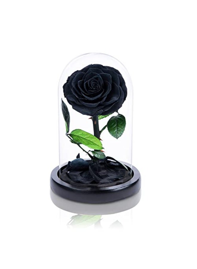 Carmel Flowers وردة سوداء أبدية - Image 3