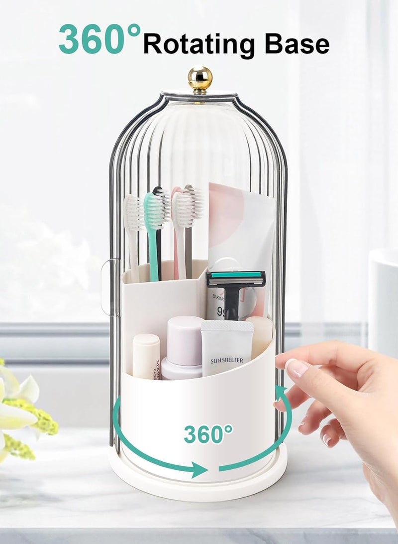 لوبيتيز فرشاة الأسنان حامل يتكون من فرشاة الأسنان حامل ، حامل فرشاة الأسنان ، فرشاة الأسنان حامل ، حامل ، حامل فرشاة الأسنان ، فرشاة الأسنان حامل ، حامل فرشاة الأسنان ، حامل فرشاة الأسنان ، حامل فرشاة الأسنان ، حامل فرشاة الأسنان ، حامل فرشاة الأسنان ، حامل فرشاة الأسنان ، حامل فرشاة الأسنان ، حامل فرشاة الأسنان ، حامل فرشاة الأسنان ، حامل فرشاة الأسنان ، حامل فرشاة الأسنان ، حامل فرشاة الأسنان ، حامل فرشاة الأسنان ، حامل فرشاة الأسنان . - Image 4