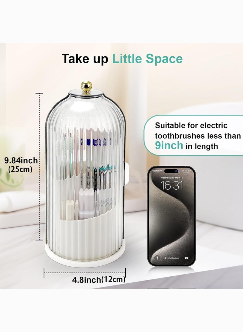 لوبيتيز فرشاة الأسنان حامل يتكون من فرشاة الأسنان حامل ، حامل فرشاة الأسنان ، فرشاة الأسنان حامل ، حامل ، حامل فرشاة الأسنان ، فرشاة الأسنان حامل ، حامل فرشاة الأسنان ، حامل فرشاة الأسنان ، حامل فرشاة الأسنان ، حامل فرشاة الأسنان ، حامل فرشاة الأسنان ، حامل فرشاة الأسنان ، حامل فرشاة الأسنان ، حامل فرشاة الأسنان ، حامل فرشاة الأسنان ، حامل فرشاة الأسنان ، حامل فرشاة الأسنان ، حامل فرشاة الأسنان ، حامل فرشاة الأسنان ، حامل فرشاة الأسنان . - Image 3