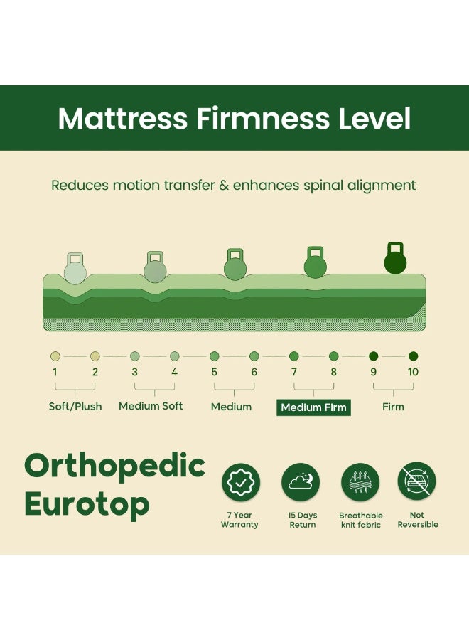EASELIVING Orthopedic Queen Mattress - 26 cm Medium Firm Euro Top Mattress | Bonnell Spring Mattress with Breathable Fabric | Edge-to-Edge Support, Pressure Relief | 7-Year Warranty (150x200 cm) - Image 5