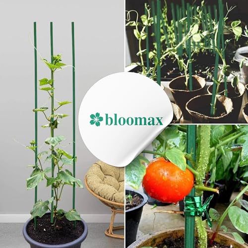BLOOMAX® Hardwood Plant Support Sticks, Lengths-3 ft/10mm, Pack of-60 pcs- with Free Twist Ties - Image 3