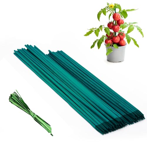 BLOOMAX® Hardwood Plant Support Sticks, Lengths-3 ft/10mm, Pack of-60 pcs- with Free Twist Ties - Image 1