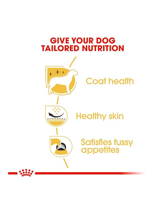 ROYAL CANIN تيرير ويست هايلاند الأبيض للبالغين - 3 كجم - Image 2