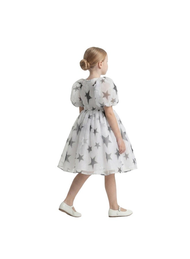 Bidani Celestial Organza Puff Sleeve Dress - Image 3