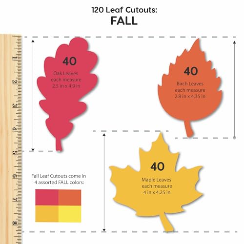 FreshCut Crafts 120 Pieces Fall Leaf Paper Cutouts with IDEA Guide, 2-Sided US Made Card Stock Punch Out Maple, Oak, and Birch Leaves for Bulletin Boards, Classroom Decor, Autumn Crafts, DIY Scrapbook, and Posters - Image 4