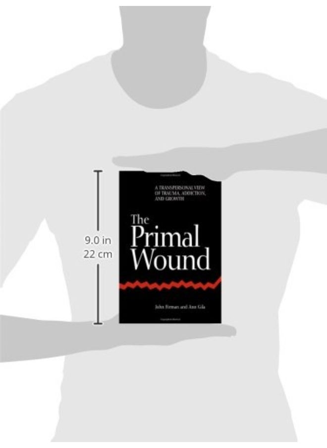 null - The Primal Wound: A Transpersonal View of Trauma, Addiction, and Growth - Image 1