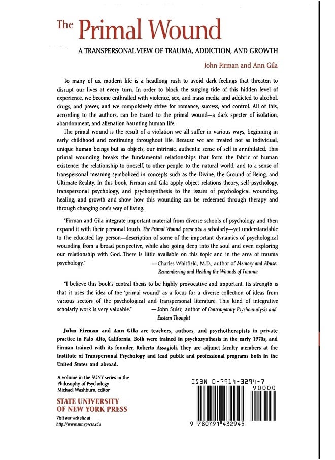 null - The Primal Wound: A Transpersonal View of Trauma, Addiction, and Growth - Image 1