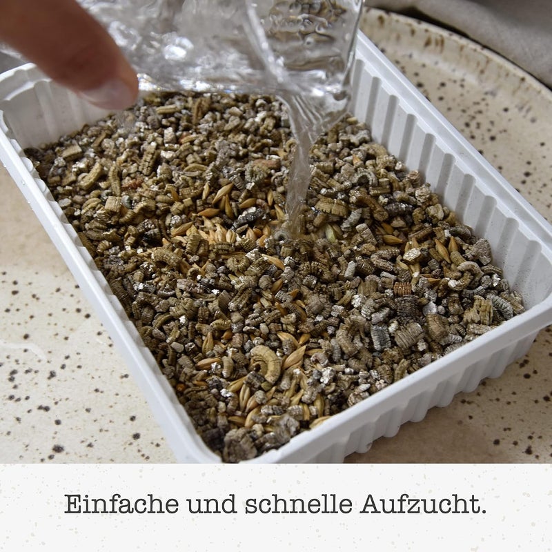 Gimborn Cat-Grass With Scent Of Meadows 150 gm - Image 3