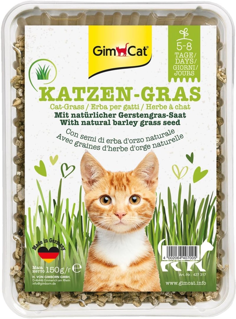 Gimborn Cat-Grass With Scent Of Meadows 150 gm - Image 1