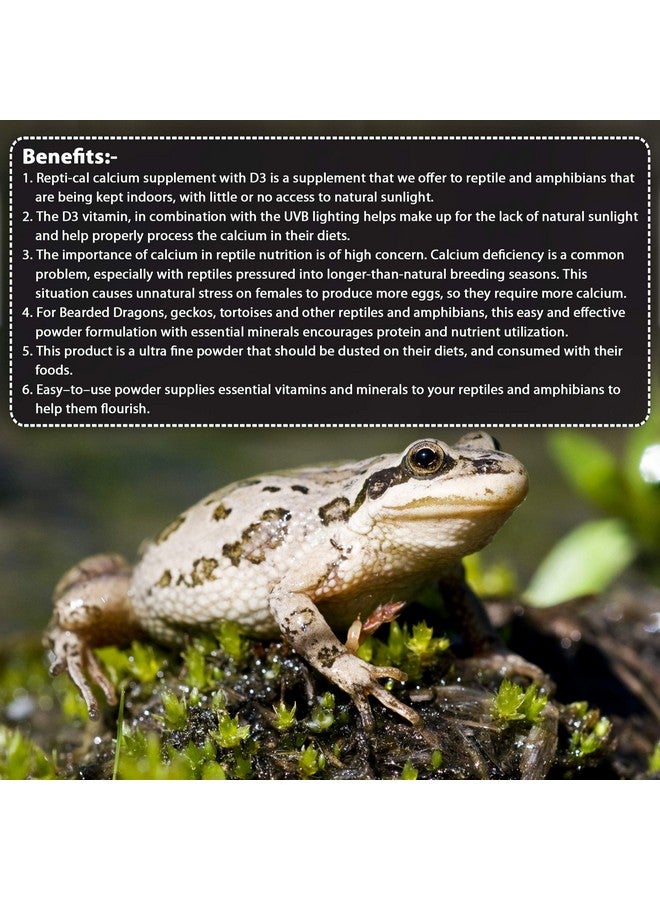 PET (Pci) Repti-Cal || Provide Essential Calcium & Vitamin D3 || Healthy Reptile And Amphibians Healthcare || 250Grm - Image 4