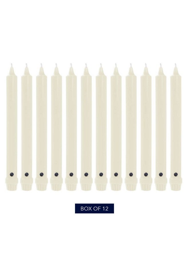 Colonial Candle Unscented Taper Candle, Classic Collection, Ivory, 10 In, Pack of 12 - Up to 8 Hours Burn - Image 1