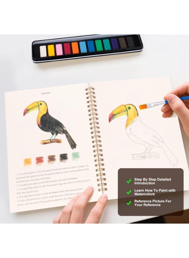 Watercolor Workbooks for Beginners, Step Instructions with Lightly Illustrated Sketches, 12 Colors Watercolor Paint Set with Paint Brush 100lb Paper, 7”x9” Painting Book for Adults (Birds) - Image 2