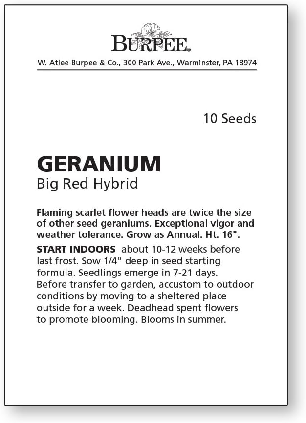Burpee Big Red Geranium Seeds 10 seeds - Image 2