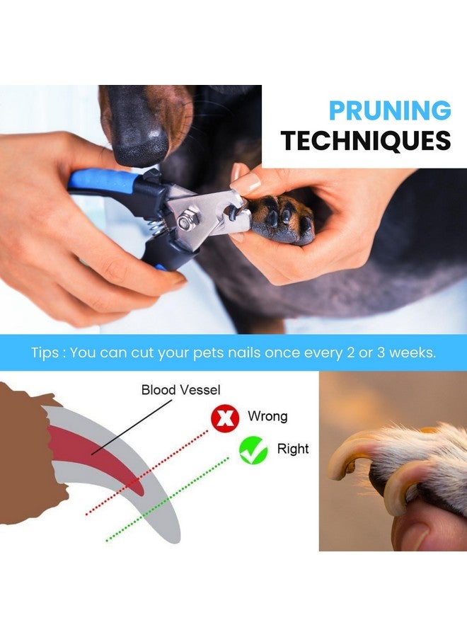 BURAQ 2 In 1 Slicker Brush & Nail Clipper With Filer Pet Grooming Kit | Removes Tools Mats Tangled Hair | Claw & Nails Clippers | Accessories For Cats & Dogs (Nail Clipper + Oval Slicker) - Image 3