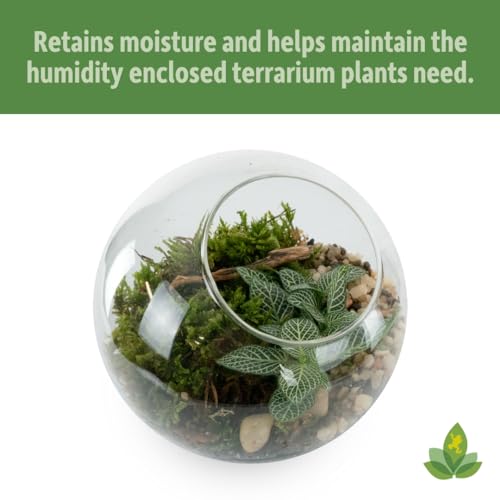 Josh's Frogs Sprig & Stone Terrarium Soil for Open and Closed Terrariums (4 Quart) - Image 5