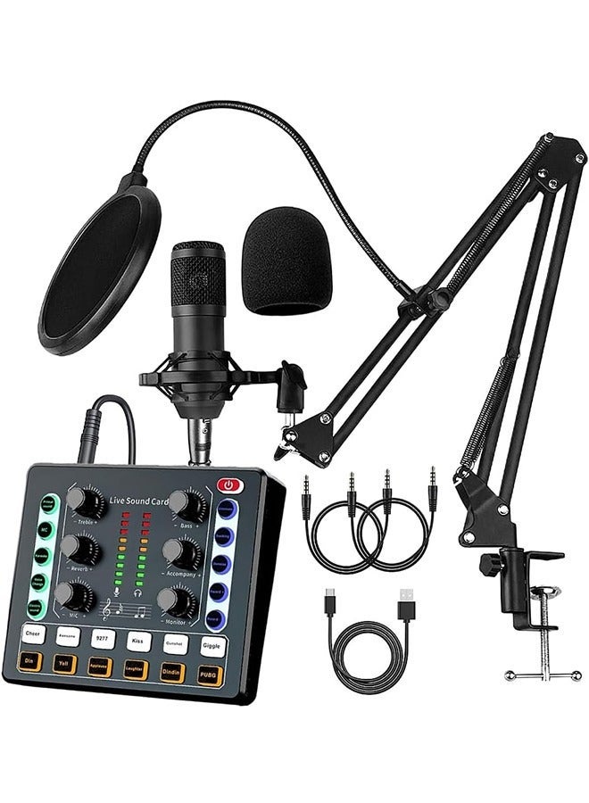 Podcast Equipment Bundle, BM-800 Recording Studio Package with Voice Changer, Live Sound Card - Audio Interface for Laptop Computer Vlog Living Broadcast Live Streaming - Image 1