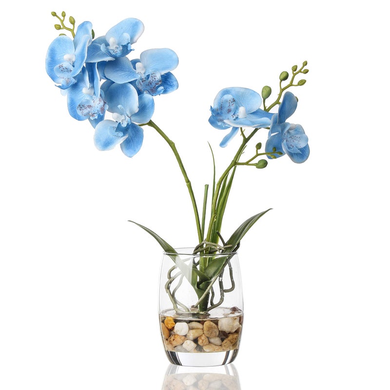 Jusdreen Artificial Blue Orchid in Glass Vase, Realistic Phalaenopsis Arrangement with Potting for Home Office Table Decor, 14.5 Inch Flower Centerpiece - Image 1