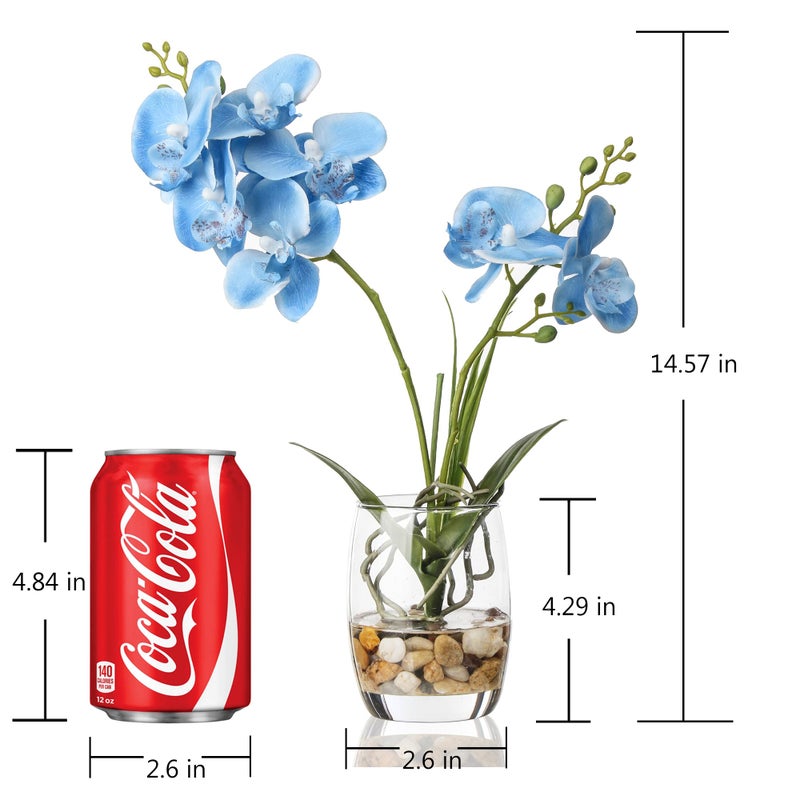 Jusdreen Artificial Blue Orchid in Glass Vase, Realistic Phalaenopsis Arrangement with Potting for Home Office Table Decor, 14.5 Inch Flower Centerpiece - Image 2