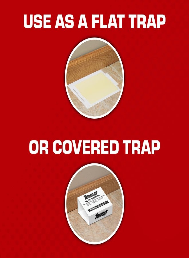 Tomcat Glue Boards with Eugenol for Enhanced Stickiness, 4 Glue Boards - Image 5