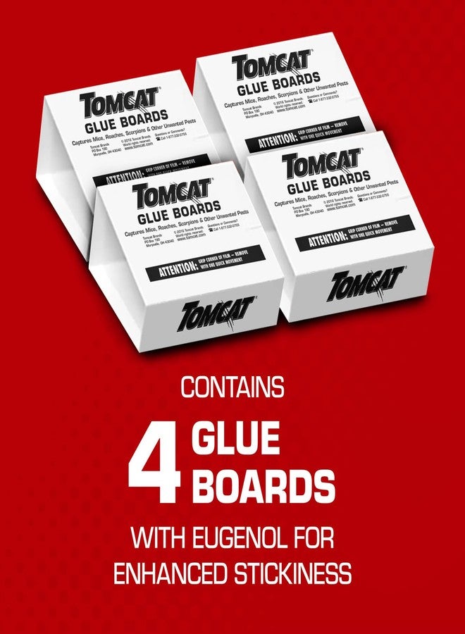 Tomcat Glue Boards with Eugenol for Enhanced Stickiness, 4 Glue Boards - Image 2