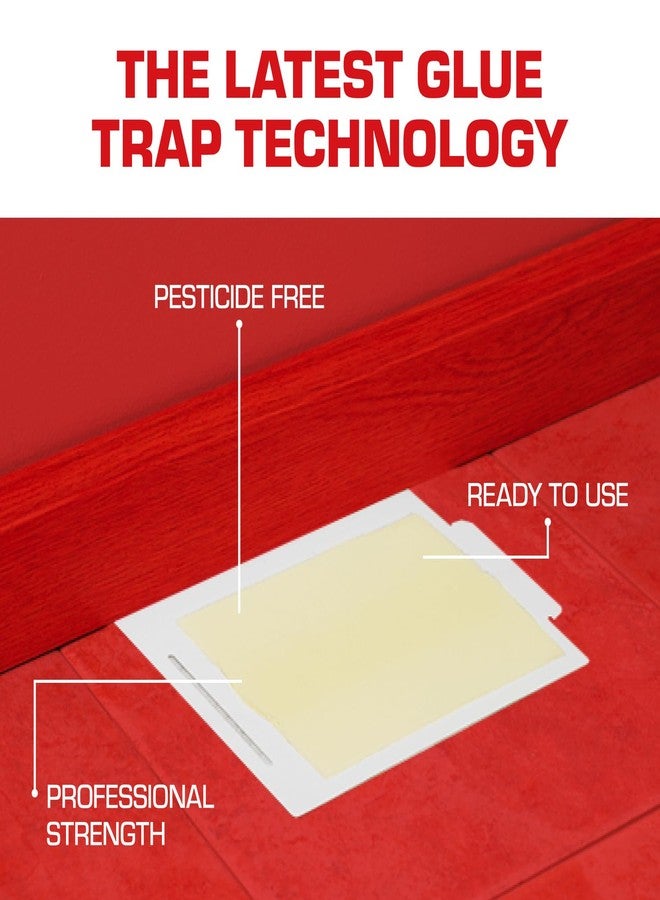 Tomcat Glue Boards with Eugenol for Enhanced Stickiness, 4 Glue Boards - Image 4