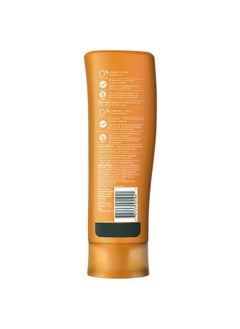 Body Envy Volumizing Conditioner with Citrus Essences, 10.1 fl oz - pzsku/ZD9F1FBE2D37C411BFEACZ/45/_/1682358108/9e44ad37-4776-43ad-8e22-c980ea4a87e2