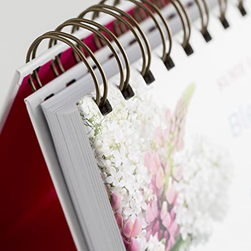 DaySpring - Susie Larson - Blessings for Every Day - An Inspirational DaySpring DayBrightener - Perpetual Calendar - Image 5