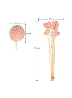 Yatai Yatai Natural Dried Craspedia Flower for Vase filling and other Flower Arrangements  - Image 3
