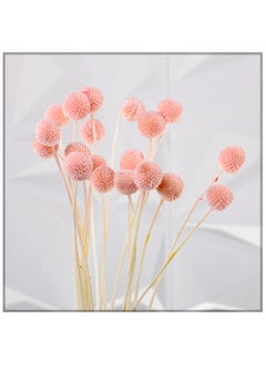 Yatai Yatai Natural Dried Craspedia Flower for Vase filling and other Flower Arrangements  - Image 5