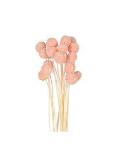 Yatai Yatai Natural Dried Craspedia Flower for Vase filling and other Flower Arrangements  - Image 2