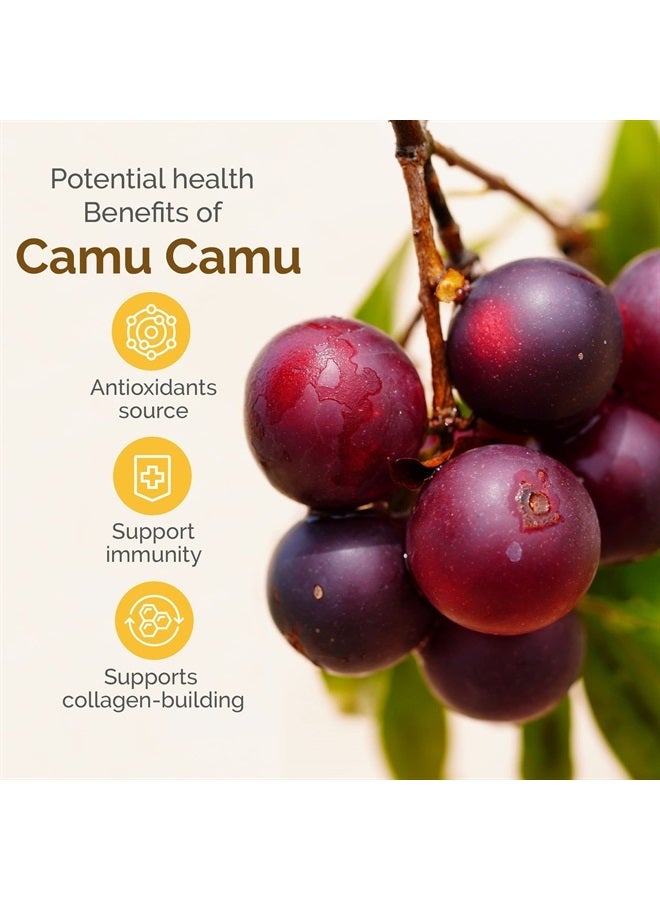 Zint Camu Camu Powder Organic | Superfood Powder | Organic Fruit Ingredient | Antioxidants Source Perfect for Smoothies, Juices, Ice Creams | Non-GMO, Gluten-Free, Kosher | 3.5 oz - Image 5