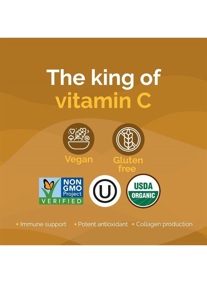 Zint Camu Camu Powder Organic | Superfood Powder | Organic Fruit Ingredient | Antioxidants Source Perfect for Smoothies, Juices, Ice Creams | Non-GMO, Gluten-Free, Kosher | 3.5 oz - Image 3