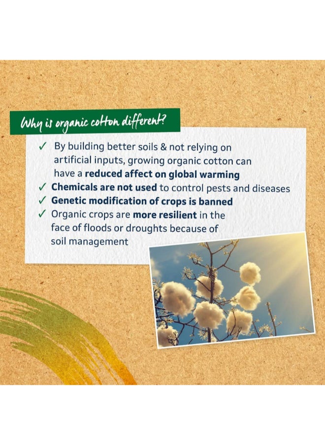 Organic Cotton Non-Applicator Tampons - Regular Uncented