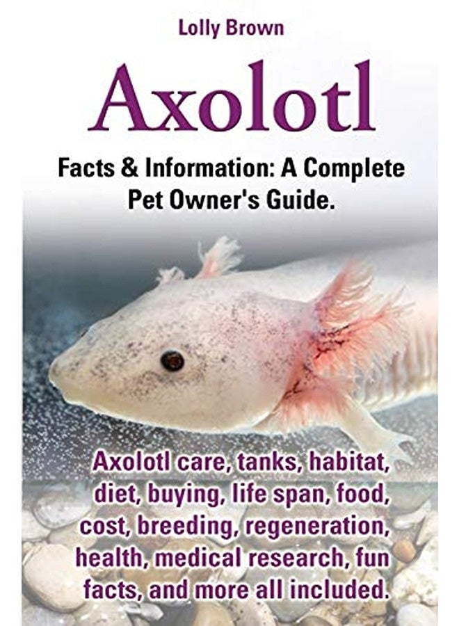 Axolotl. Axolotl Care Tanks Habitat Diet Buying Life Span Food Cost Breeding Regeneration 