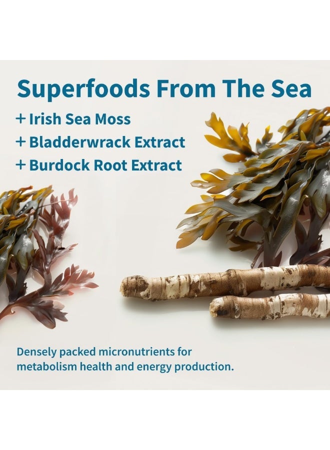 Snap Supplements - Irish Sea Moss Capsules w/Bladderwrack, Burdock Root & Iodine Energy Support - Image 3