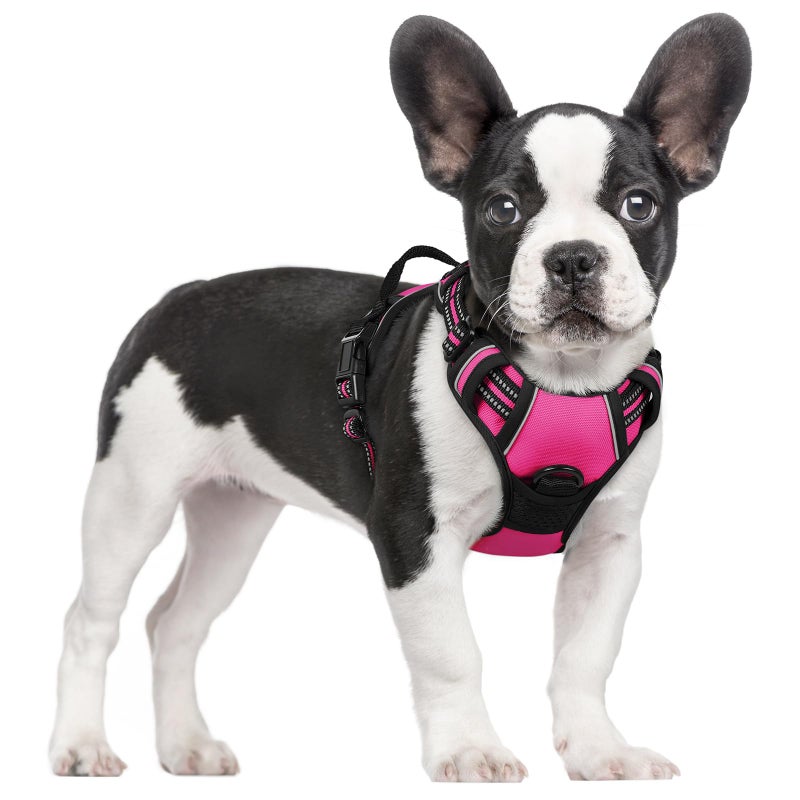 rabbitgoo Dog Harness No Pull with 2 Leash Clips, Adjustable Soft Padded, Reflective Oxford No Choke Pet Vest with Easy Control Handle for Large Dogs, Hot Pink, S - Image 1