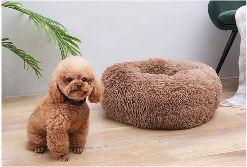 Modern Soft Plush Round Pet Bed for Cats or Small Dogs, Mini Medium Sized Dog Cat Bed Self Warming Autumn Winter Indoor Snooze Sleeping Cozy Kitty Teddy Kennel (M(23.6”Dx7.9 H), Coffee) - Image 3