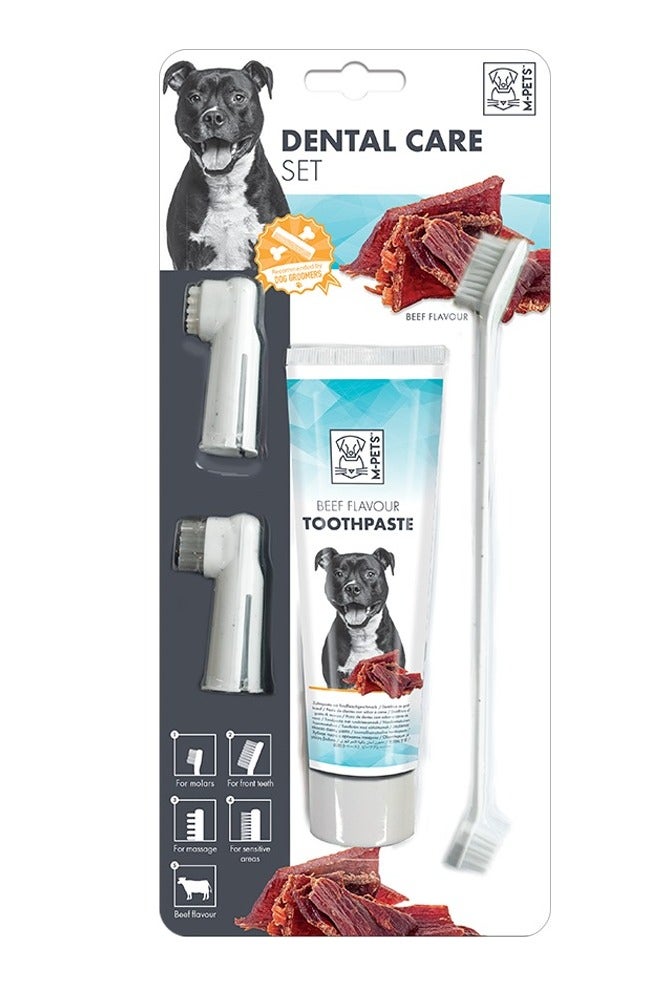Dental Care Set Beef flavor Toothpaste Kit