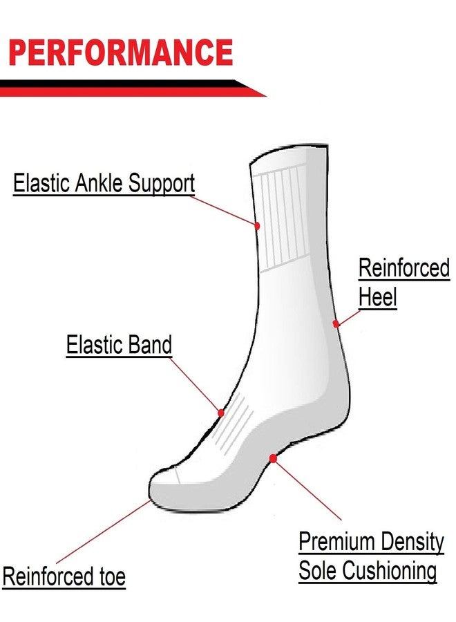 Sock It Up جوارب قصيرة من صوف ميرينو للرجال والنساء، جوارب مبطنة مناسبة للأحذية والمشي لمسافات طويلة والأنشطة الخارجية، من كريستلاين، مقاس متوسط/كبير - Image 5