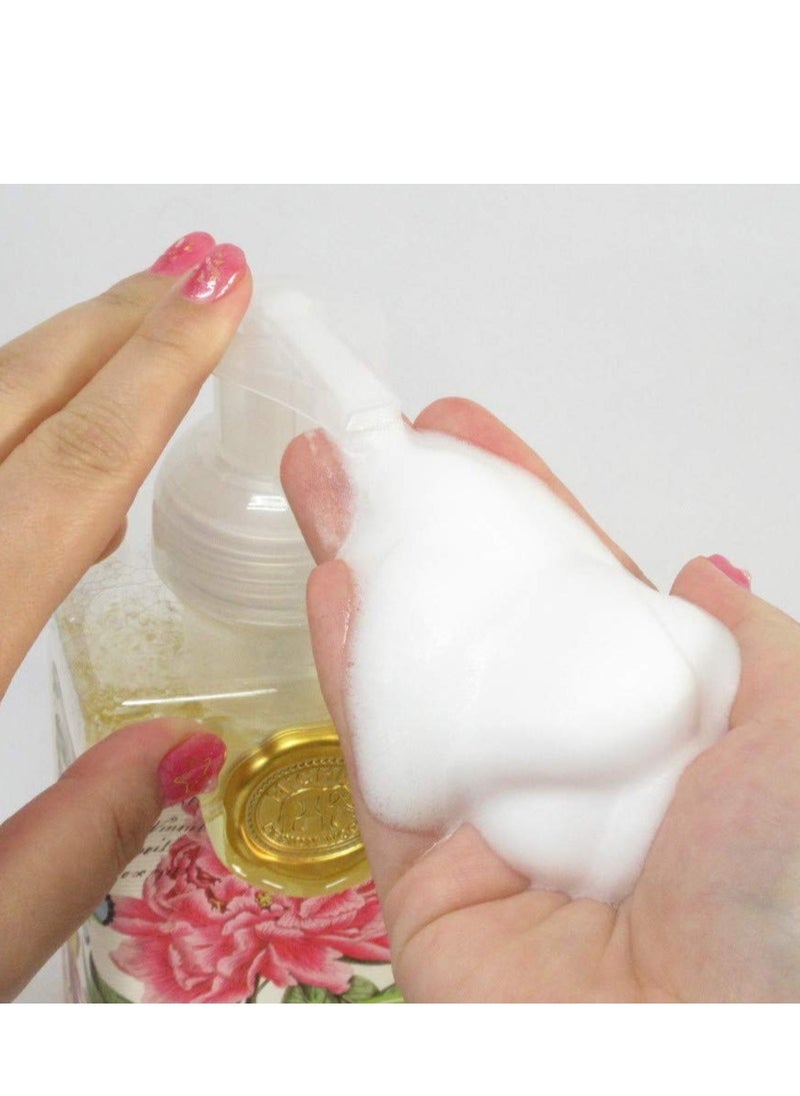 Michel Design Works - Michel Design Works Scented Foaming Hand Soap, Season's Greetings - Image 1
