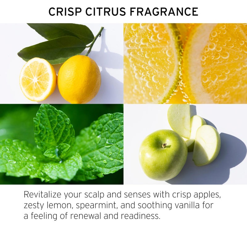 Fekkai Apple Cider Detox Rinse (2 oz) + Apple Cider Detox Shampoo (2 oz) - Free of Sulfates, Parabens, Phthalates - Vegan, Cruelty-Free - Image 4