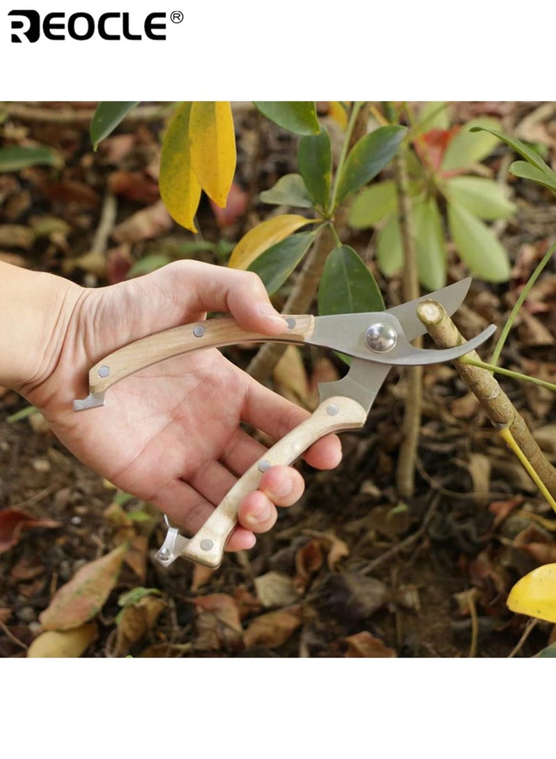 ريوكل المقصات الخشب مقبض حديقة القص كيت نبات التقليم مقص حديقة القاطع زهرة مقصات اليد شجرة القص السيكاتير قص القص للبستنة أدوات البستنة المريحة هدية البستانيين - Image 5