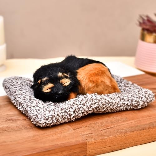 ascension Sleeping Cute Dog for Car Dashboard and Home Decor with Activated Carbon for Decoration Toy Decorative Showpiece Car Accessories Interior Dashboard Decoration Good Gifts (Design 6) - Image 3