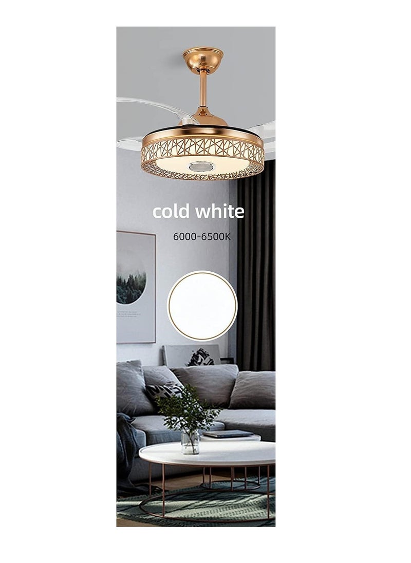 SUN SHINE - Ceiling Fan with LED light 6500K - Image 1