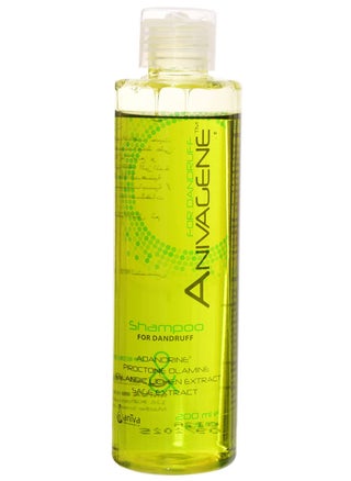 Anivagene Shampoo Anti Dandruff, 200 ml - pzsku/ZD9FF54D005B02F6431F3Z/45/1748333404/ef73558d-be99-498f-923d-ec9833d19967